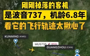 Descargar video: 刚刚掉落的客机为波音737，机龄6.8年，飞行轨迹让人揪心