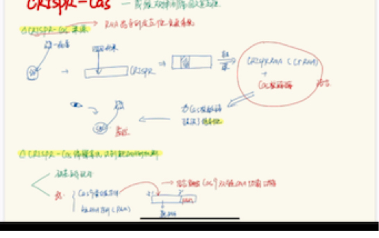 CRISPRcas编辑系统哔哩哔哩bilibili