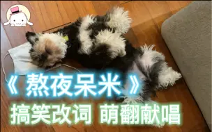 Download Video: 【刘宇宁】《熬夜呆米》女明星的委屈谁懂｜搞笑改词萌翻献唱