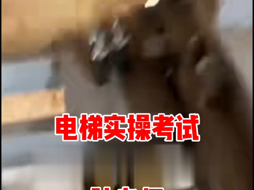电梯T证实操考试