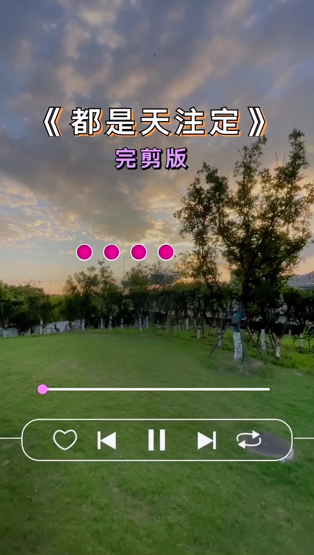 都是天注定完整版哔哩哔哩bilibili