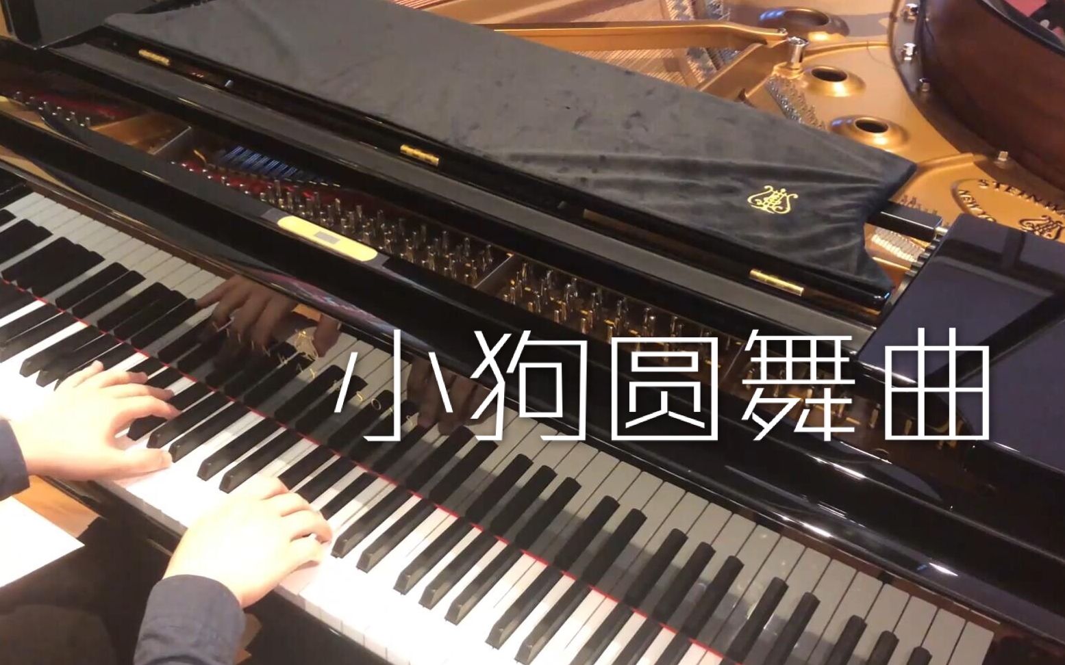 [图]【DJL钢琴演奏~】小狗圆舞曲 Minute Waltz Op.64 no.1 （庆贺2000粉！)