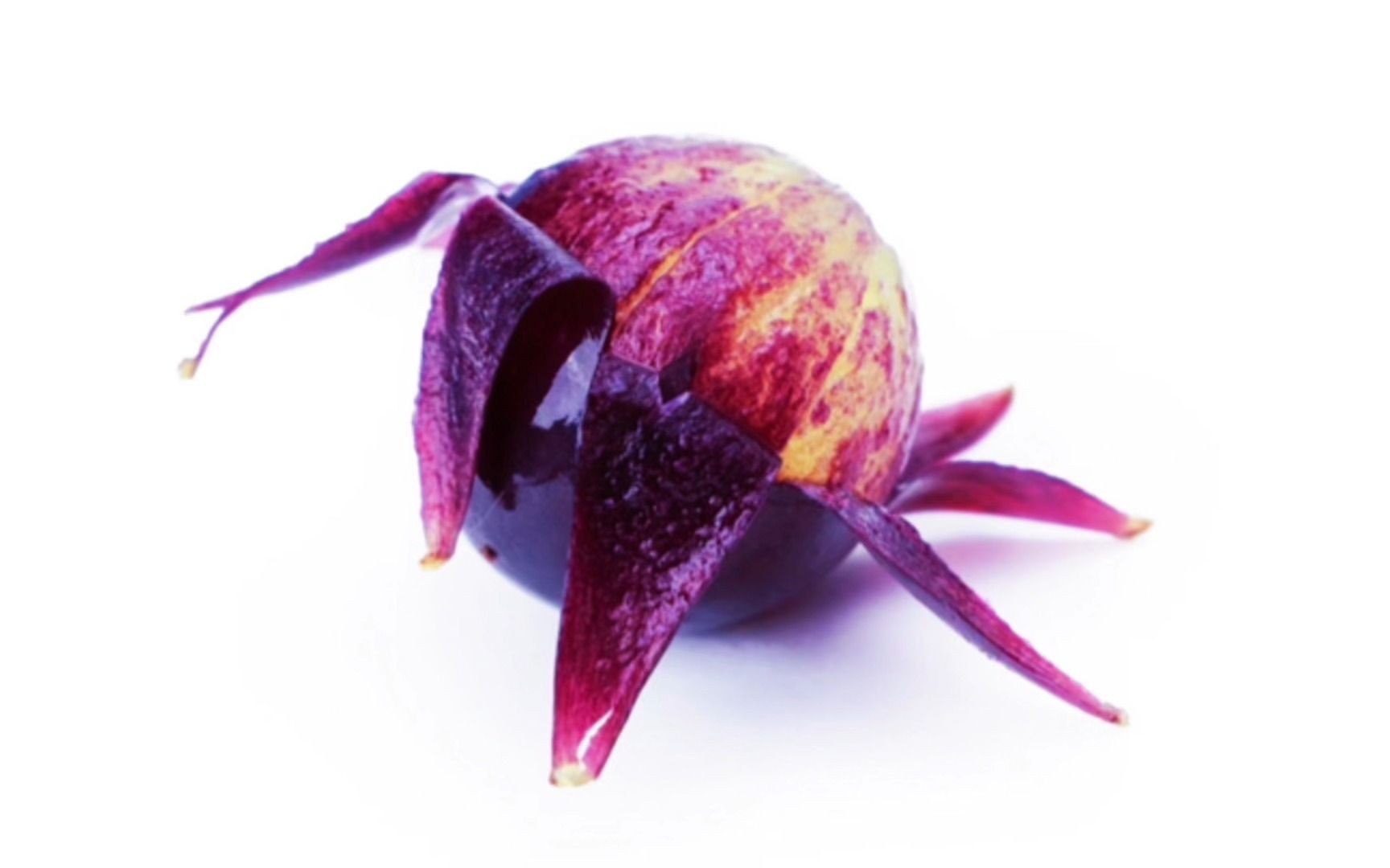 【喝了葡萄汁儿的翻唱】《座右铭》--spylent_哔哩哔哩_bilibili