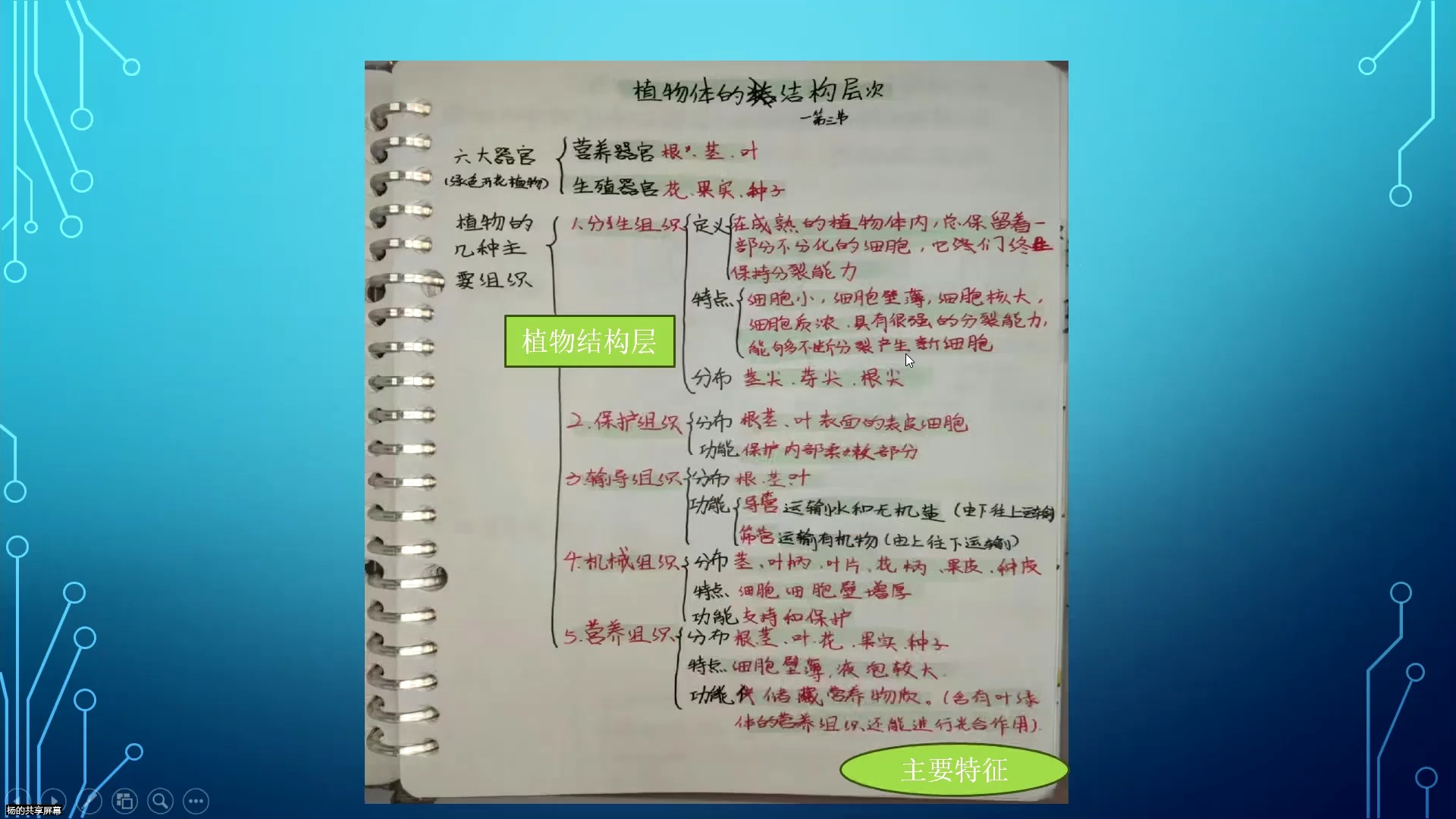 七年级上生物复习(杨老师)