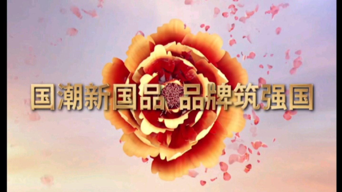 中央广播电视总台2024"品牌强国工程"宣传片(2)