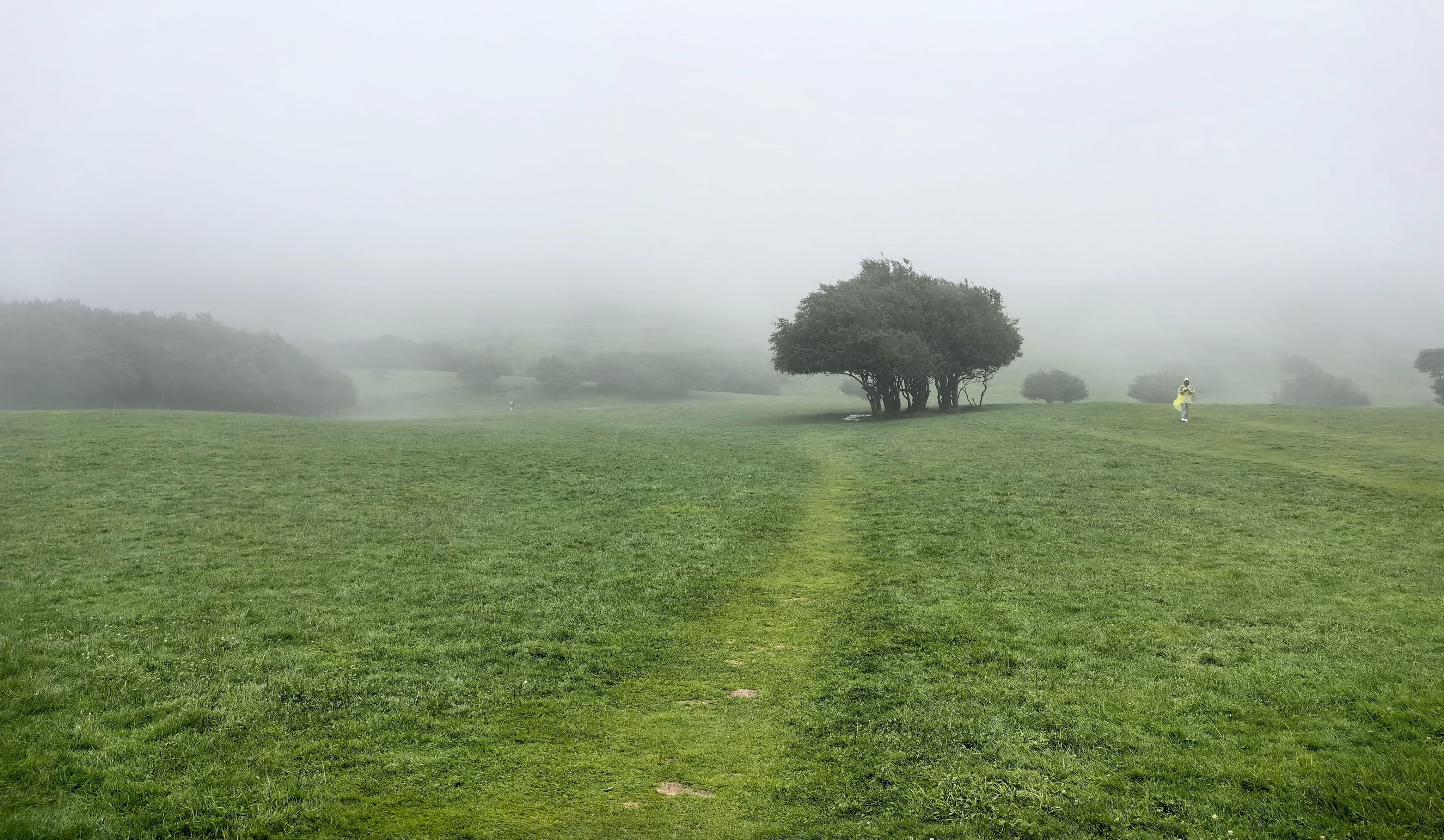 诗与远方 东方瑞士——仙女山02云雾缭绕 仙气飘飘