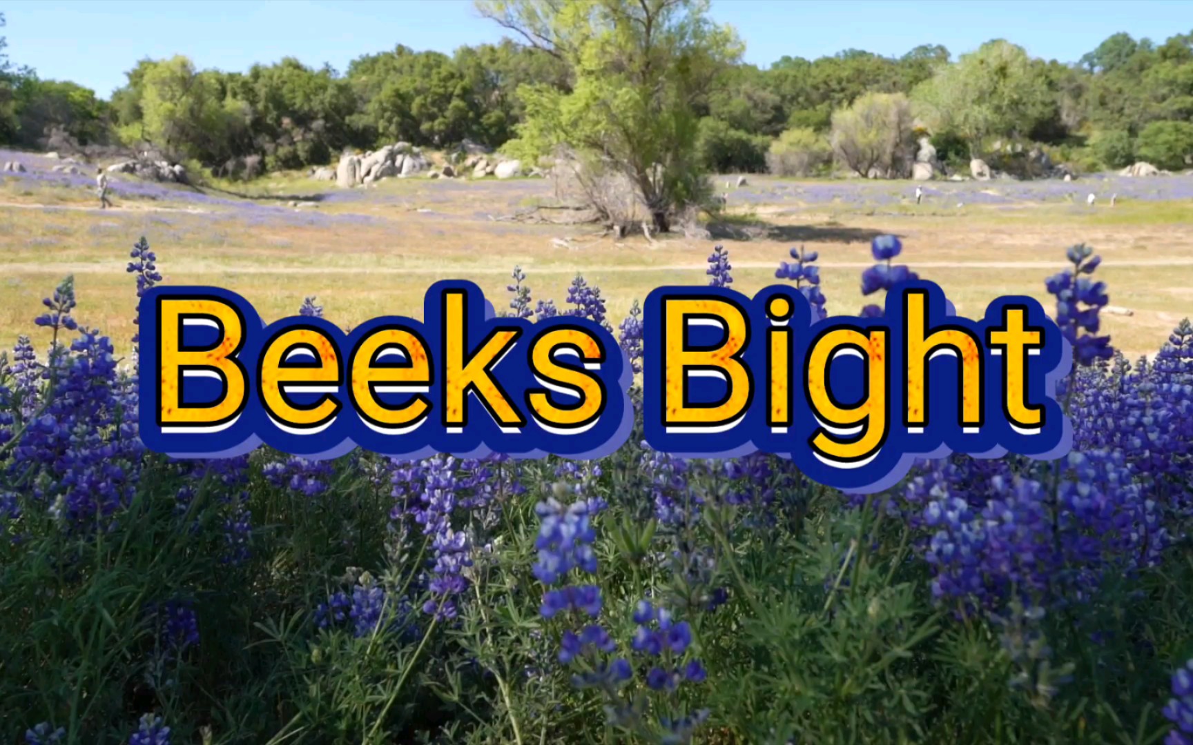 Beeks Bight in Folsom Lake哔哩哔哩bilibili