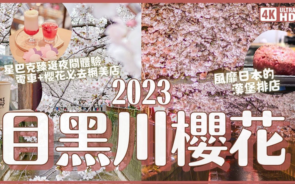 【萌妹子在日本】2023目黑川樱花🌸满开啦!带你逛中目黑赏樱(有夜樱)!同场加映夜间星巴克臻选窗外有电车+樱花的网美咖啡店东京人气汉堡排店 ...