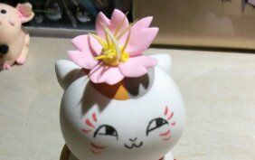 猫咪老师【轻土】哔哩哔哩bilibili