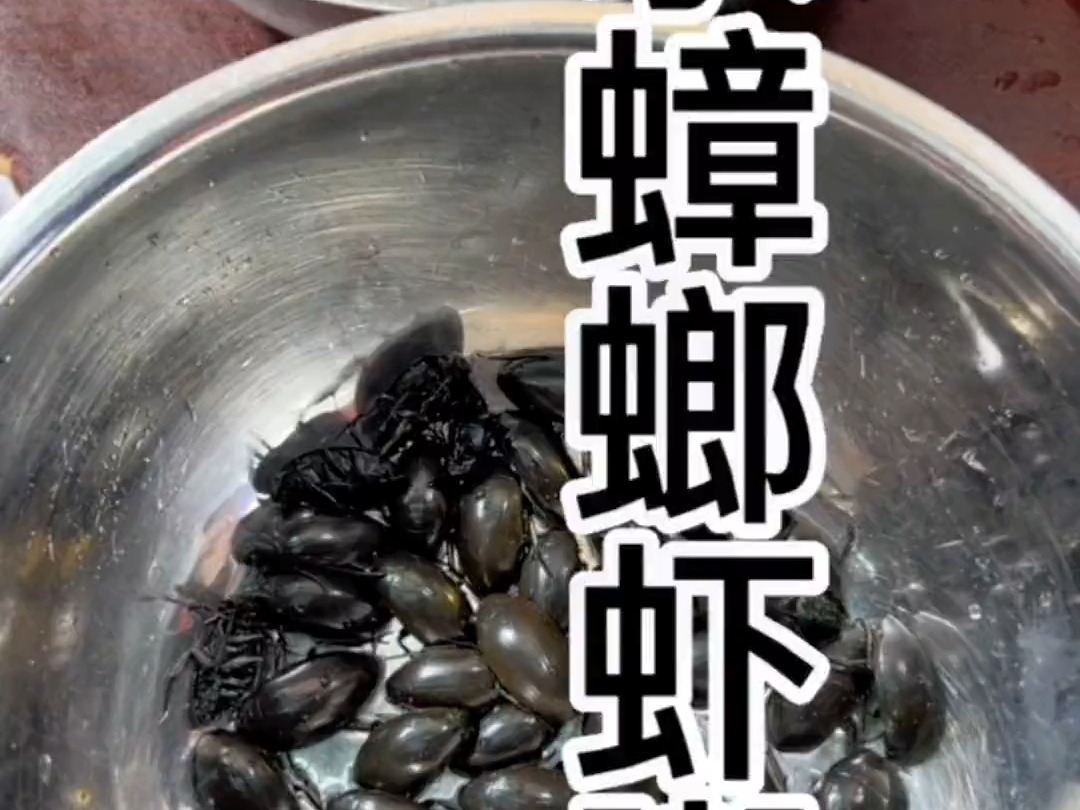 水蟑螂虾粥 #滋补养生