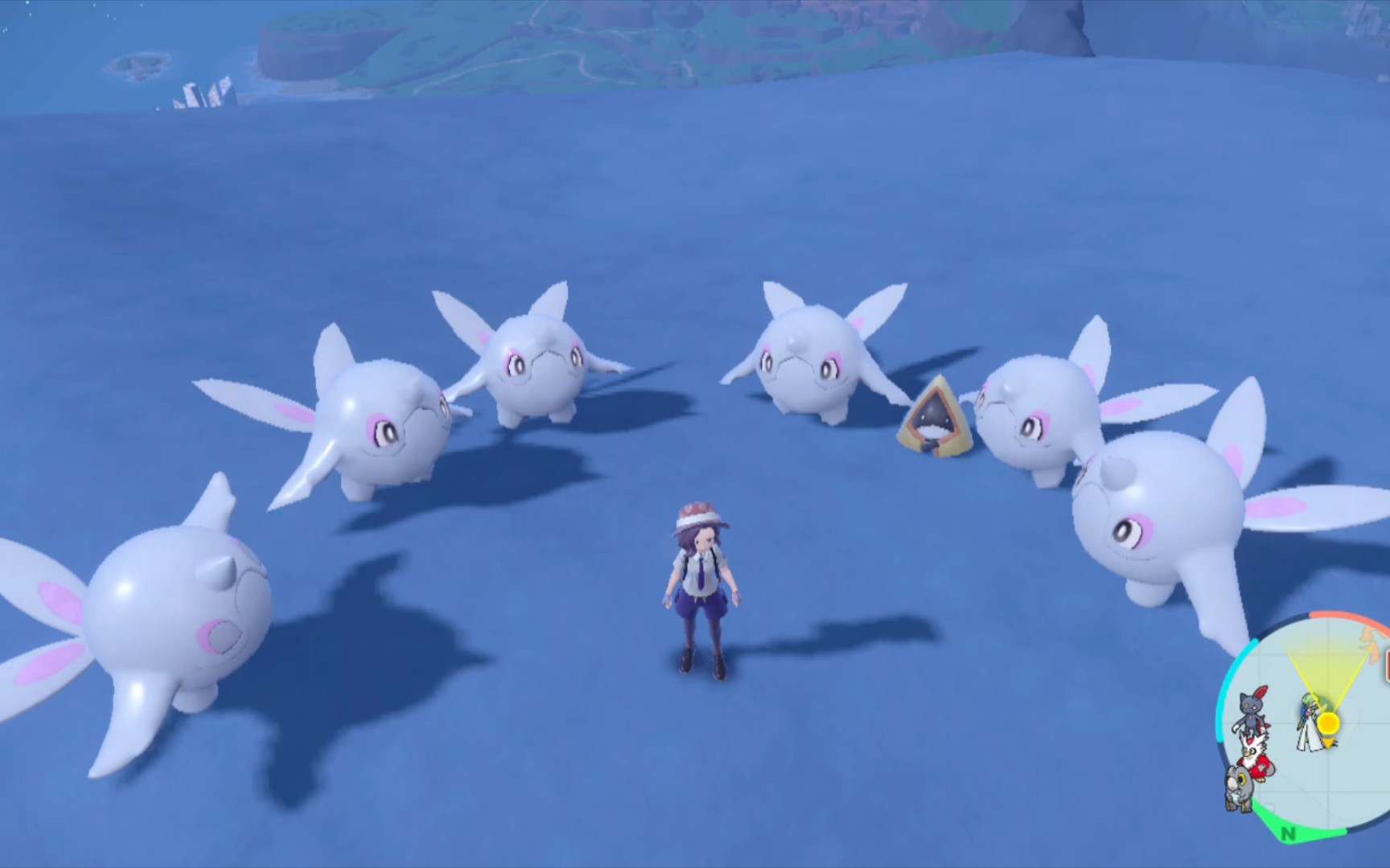 【宝可梦朱紫】怎么会有走鲸这么可爱的宝可梦!