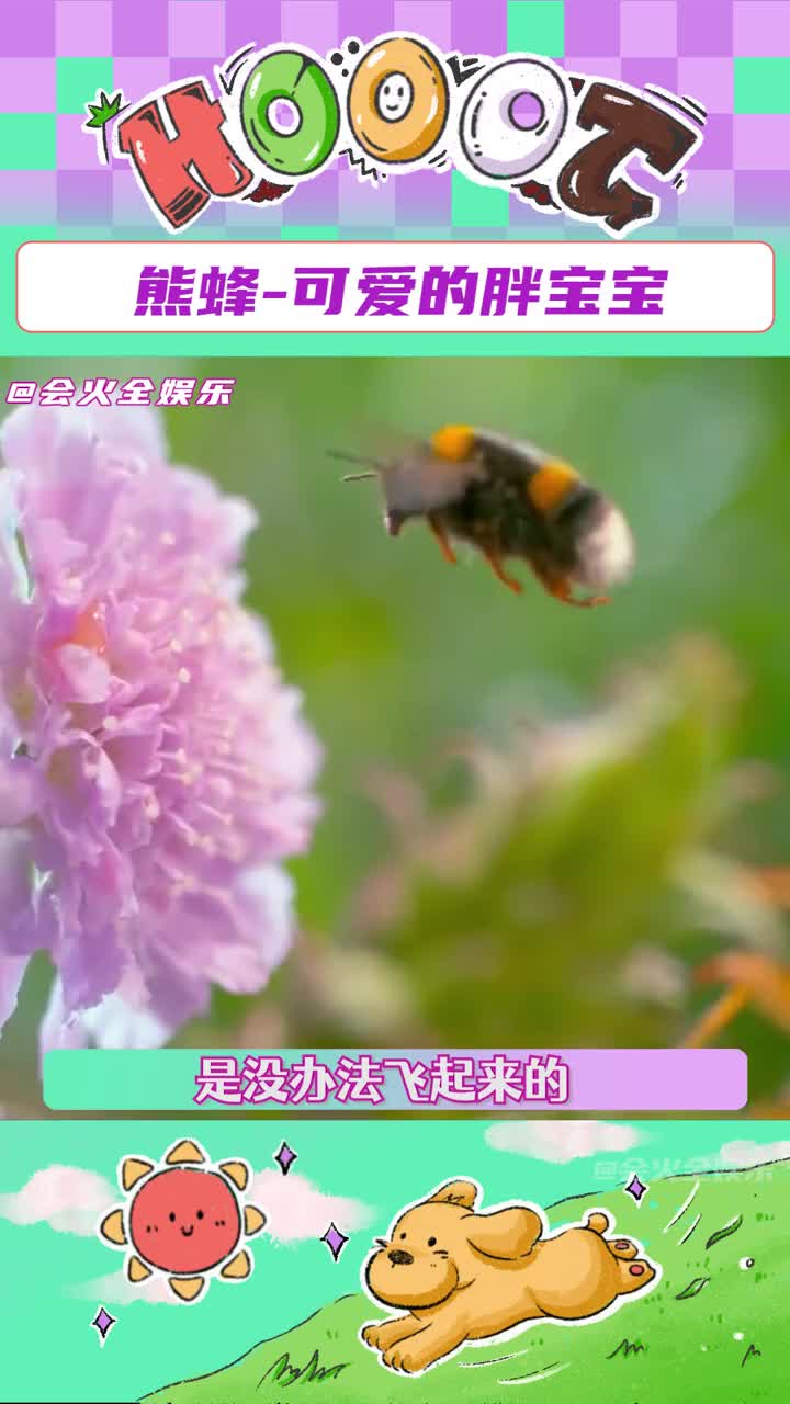 没想到的蜂蜂,这么可爱!!#动物 #可爱 #治愈 #搞笑哔哩哔哩bilibili