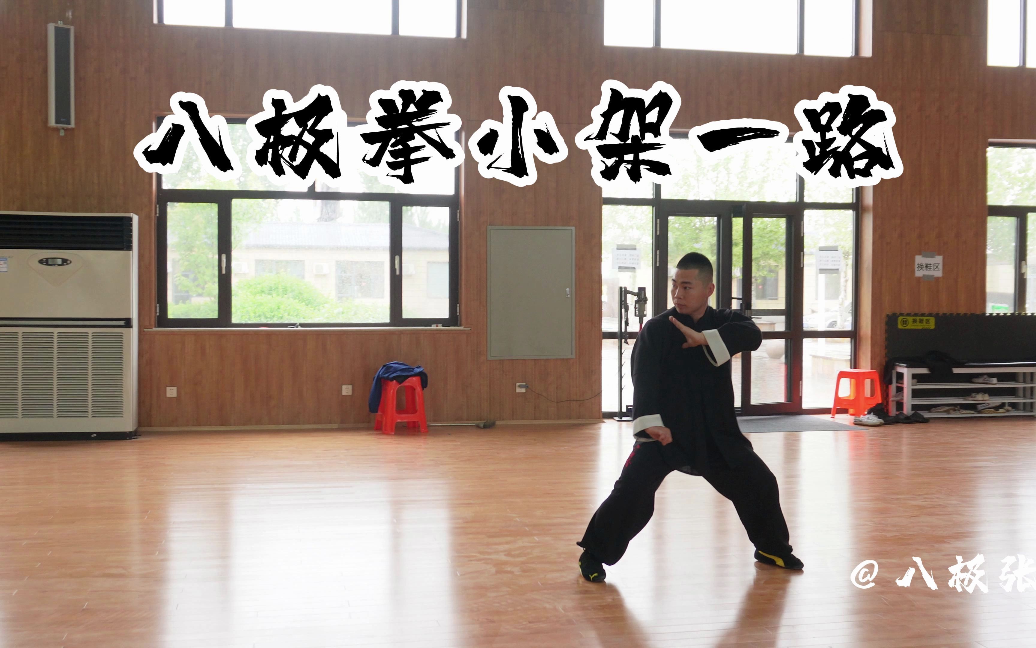 八极拳小架一路演练