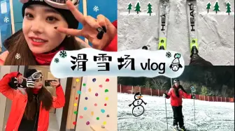 Download Video: 【freezia宋智雅】滑雪场vlog ，一起滑雪吧