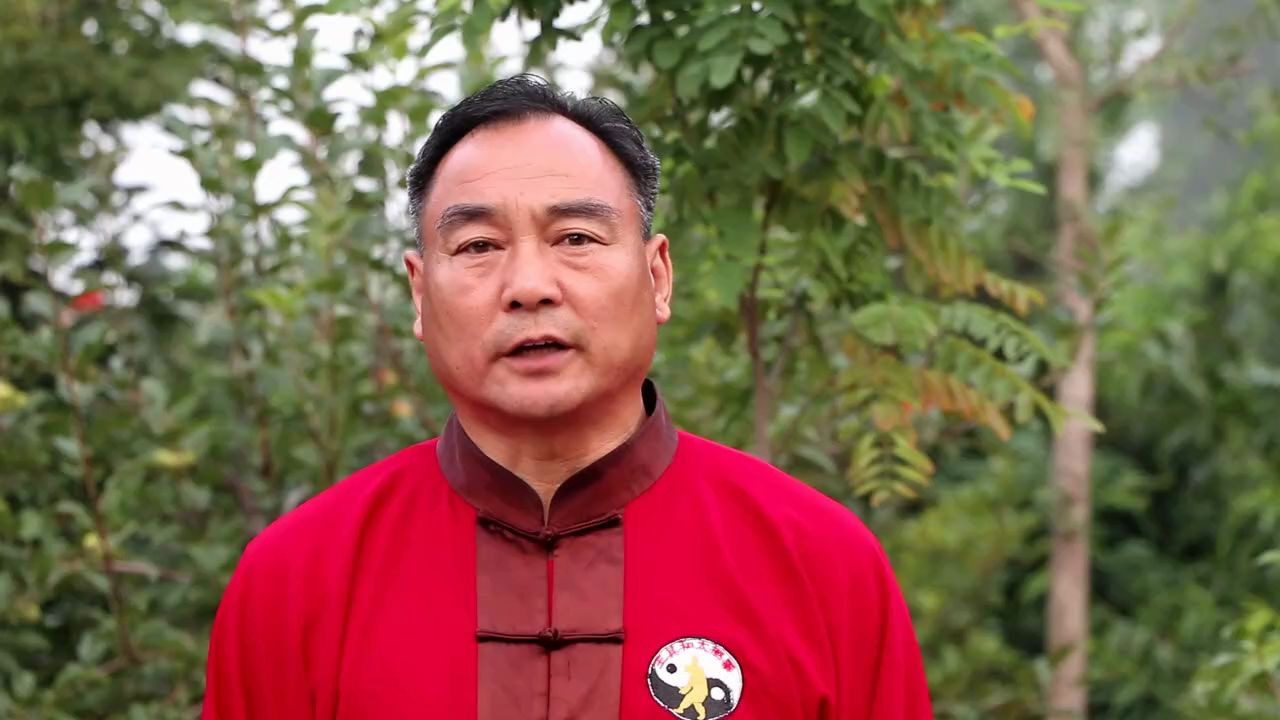 任泽区 孟振奎 男 中年c组 24式王其和太极拳_哔哩哔哩 (゜-゜)つロ