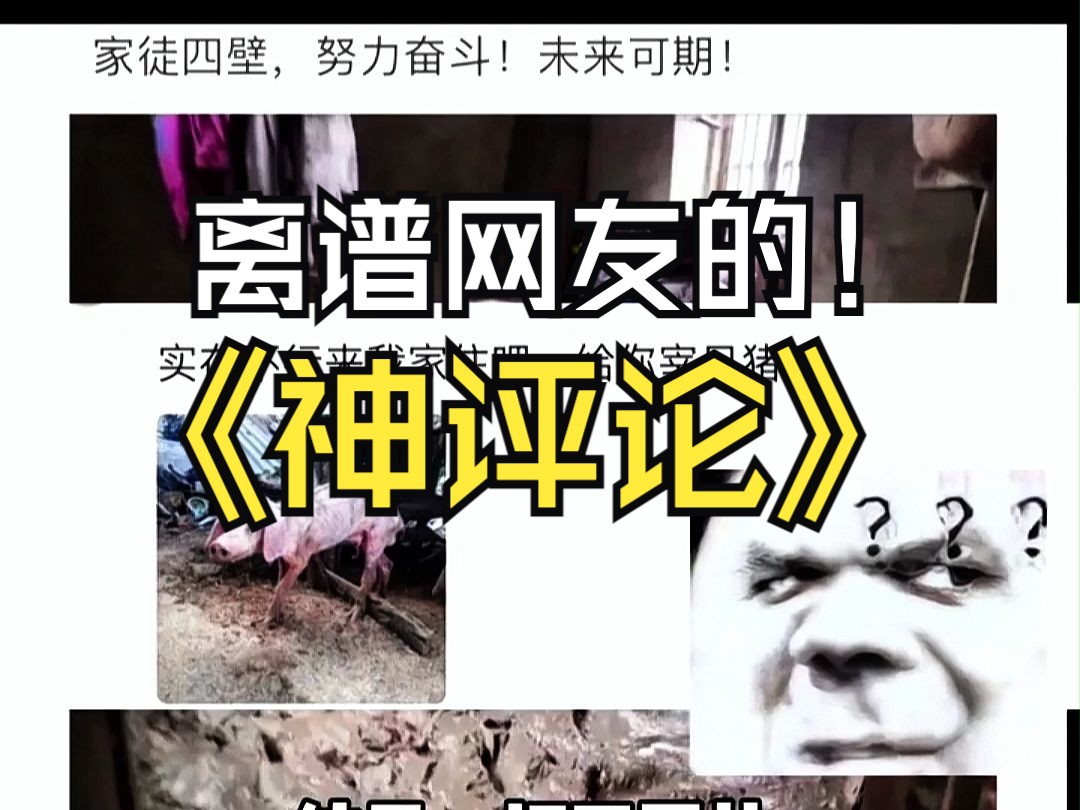 离谱网友爆笑神回复!一个敢问一个敢答!哔哩哔哩bilibili