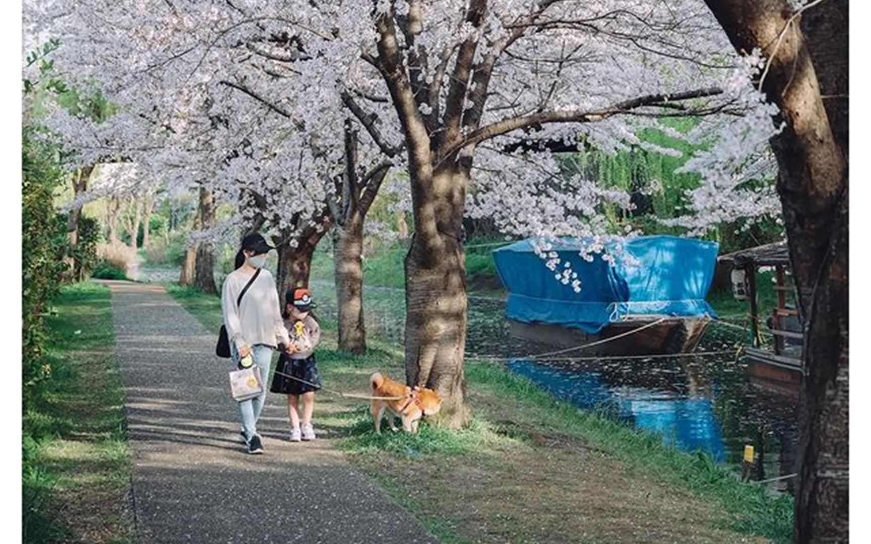 摄影灵感——日本摄影师泽村阳兵街头摄影作品赏析3辑哔哩哔哩bilibili