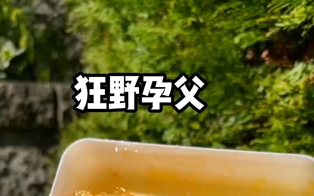 狂野孕父哔哩哔哩bilibili