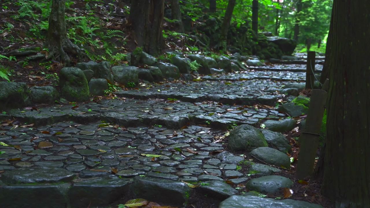 【水族】用泡沫板打胶粘石头做假山流水,可以称为艺术品了哔哩哔哩bilibili