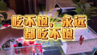喂了三次，红虫干，饲料，怎么吃不饱。