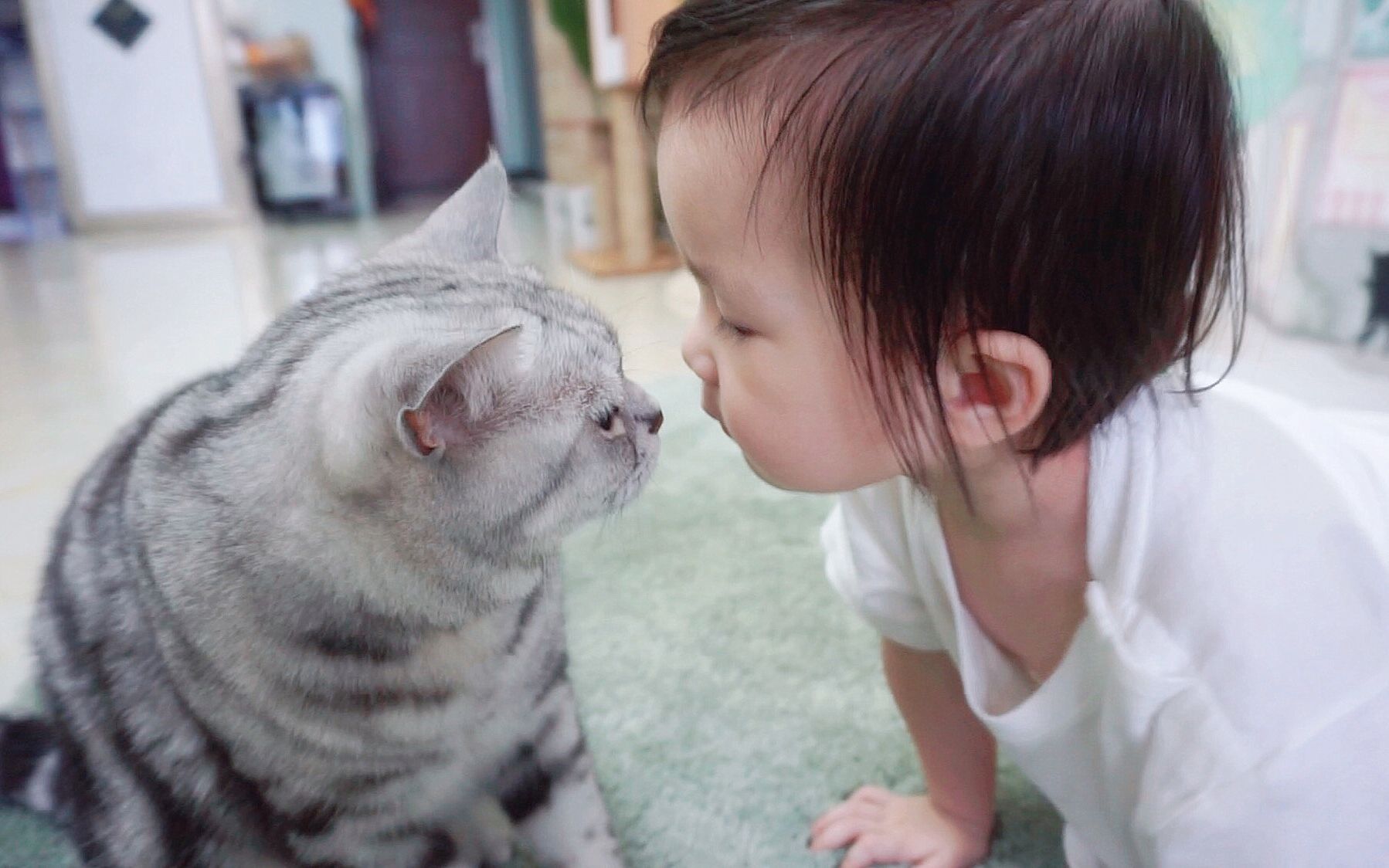 [图]太有爱了！三只猫咪把主人的小宝宝当成自己的孩子来疼！