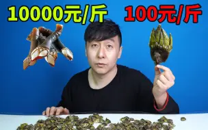 Download Video: 海鲜揭秘，同样是来自地狱的海鲜，为什么价格相差100倍