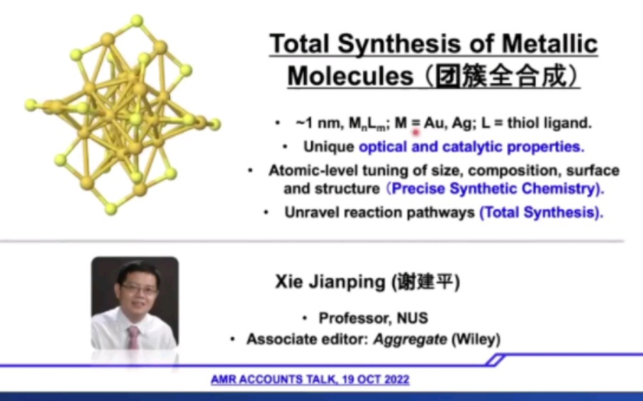 Total Synthesis of Metallic Molecules (团簇全合成)——谢建平 新加坡国立大学哔哩哔哩bilibili