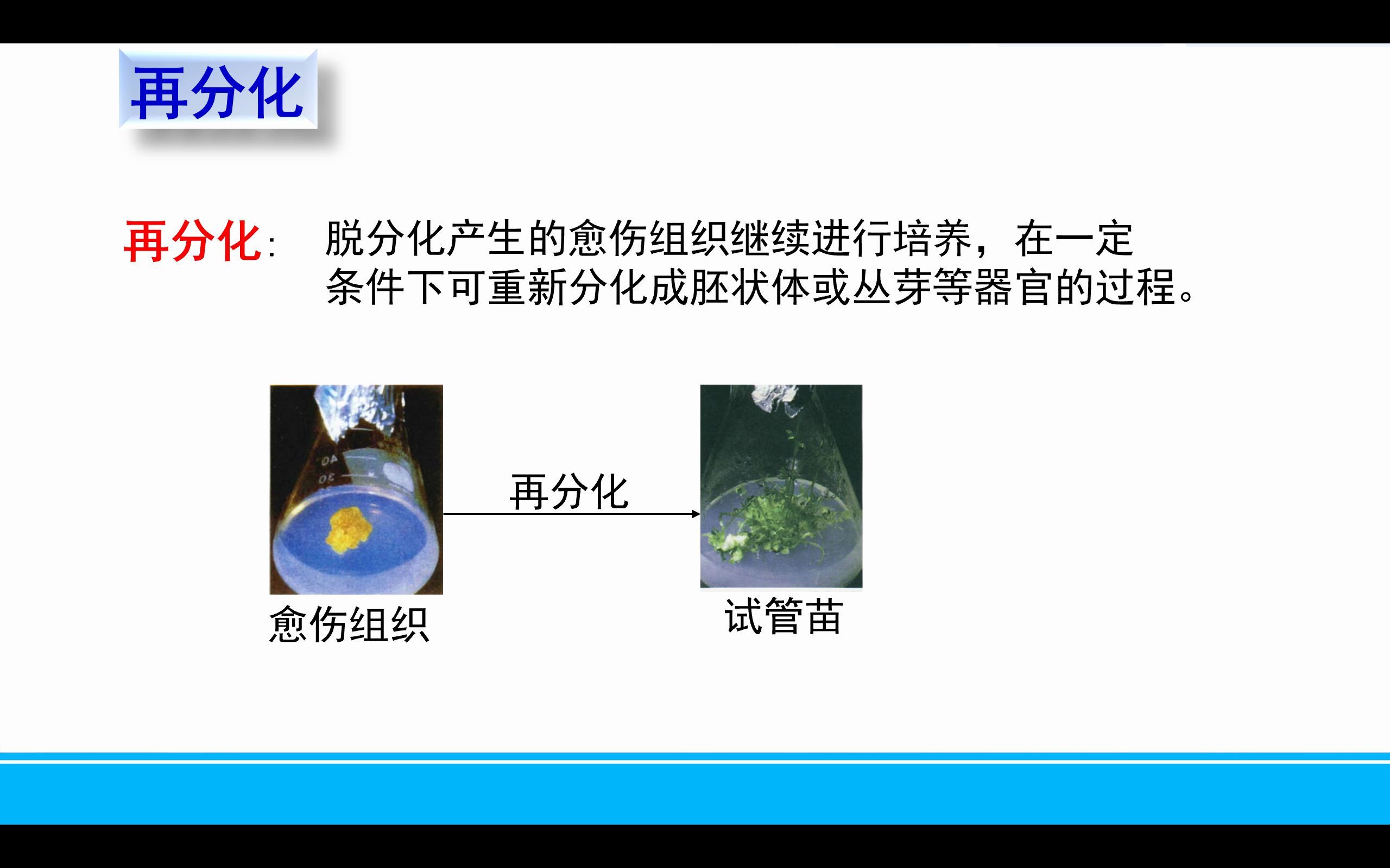 [图]文心雕龙高中生物选择性必修3再分化