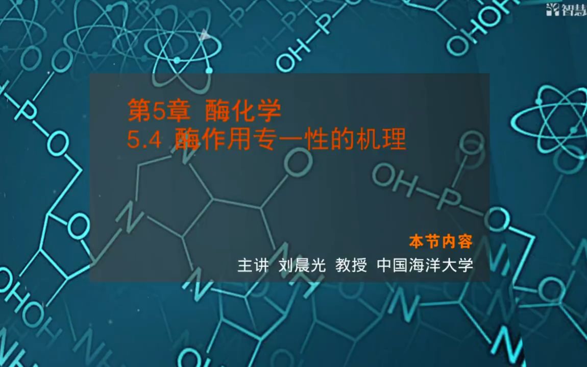 【中国海洋大学 生物化学】2.4酶作用专一性的机理哔哩哔哩bilibili