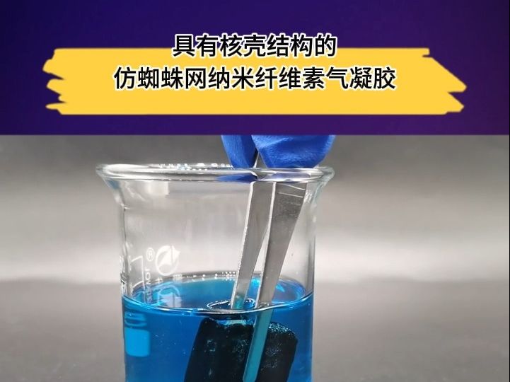 文献速递 | 中南大学张翼教授:具有核壳结构的仿蜘蛛网纳米纤维素气凝胶哔哩哔哩bilibili