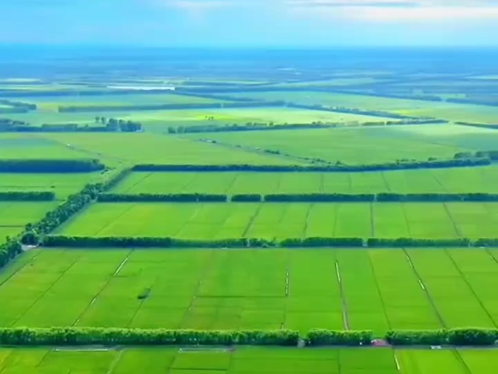 希望的田野,在辽阔的龙江大地上,青山碧水蓝天,一片生机勃勃.