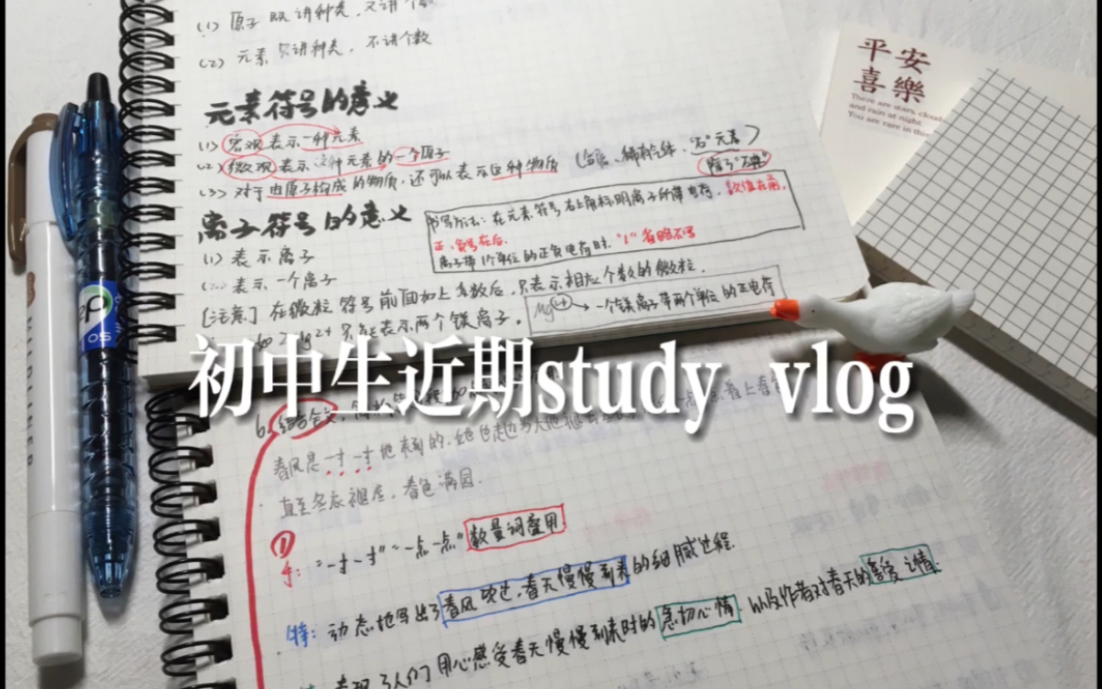 Vlog1|网课日常/画画/花园宝宝/新便签/study!!哔哩哔哩bilibili