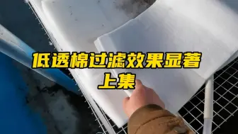 Télécharger la video: 鱼菜共生底污清理开始显成效了！