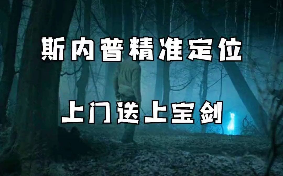 猪头酒吧酒保-斯内普真的是,我哭死!哈利波特