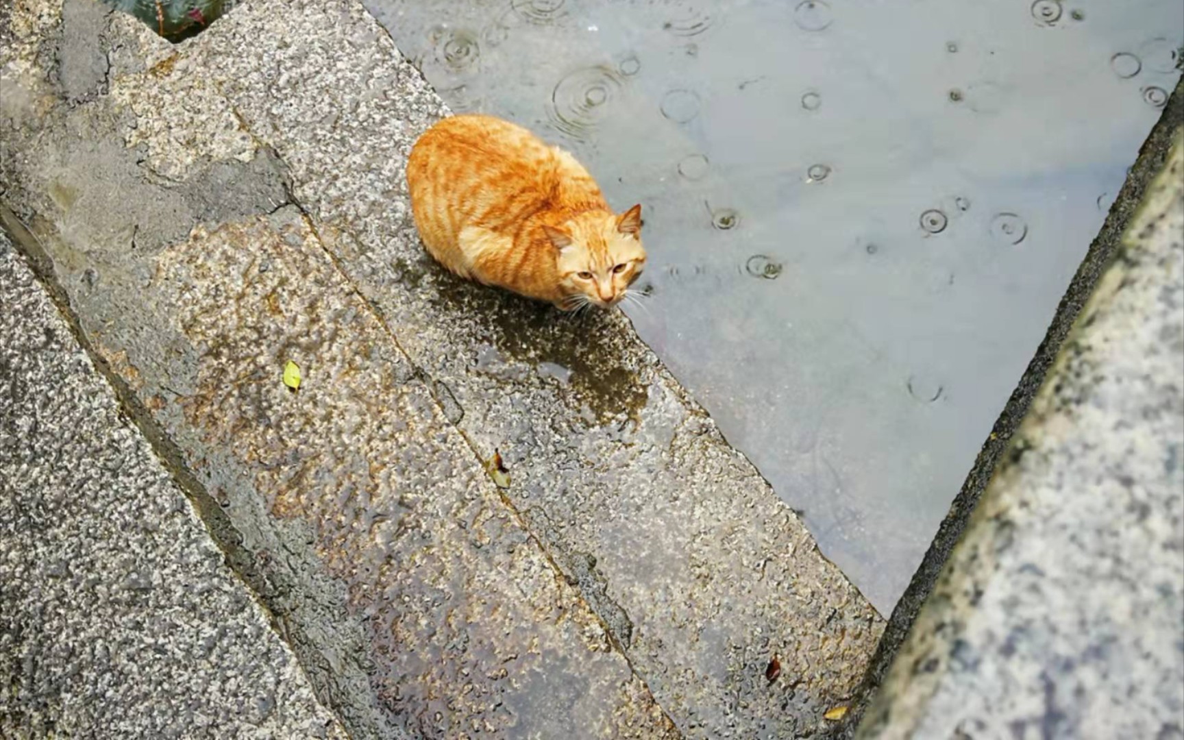 阿花的故事:下雨天总想着从前......哔哩哔哩bilibili