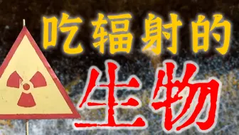 【鬼谷闲谈】以核辐射为食的生物