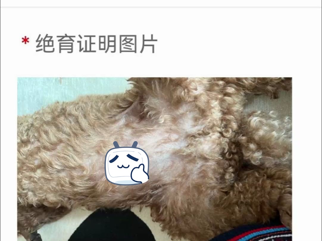 续狗证找不到绝育证,于是我提交了最好的证明!哔哩哔哩bilibili