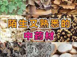 Tải video: 陌生又熟悉的中药材