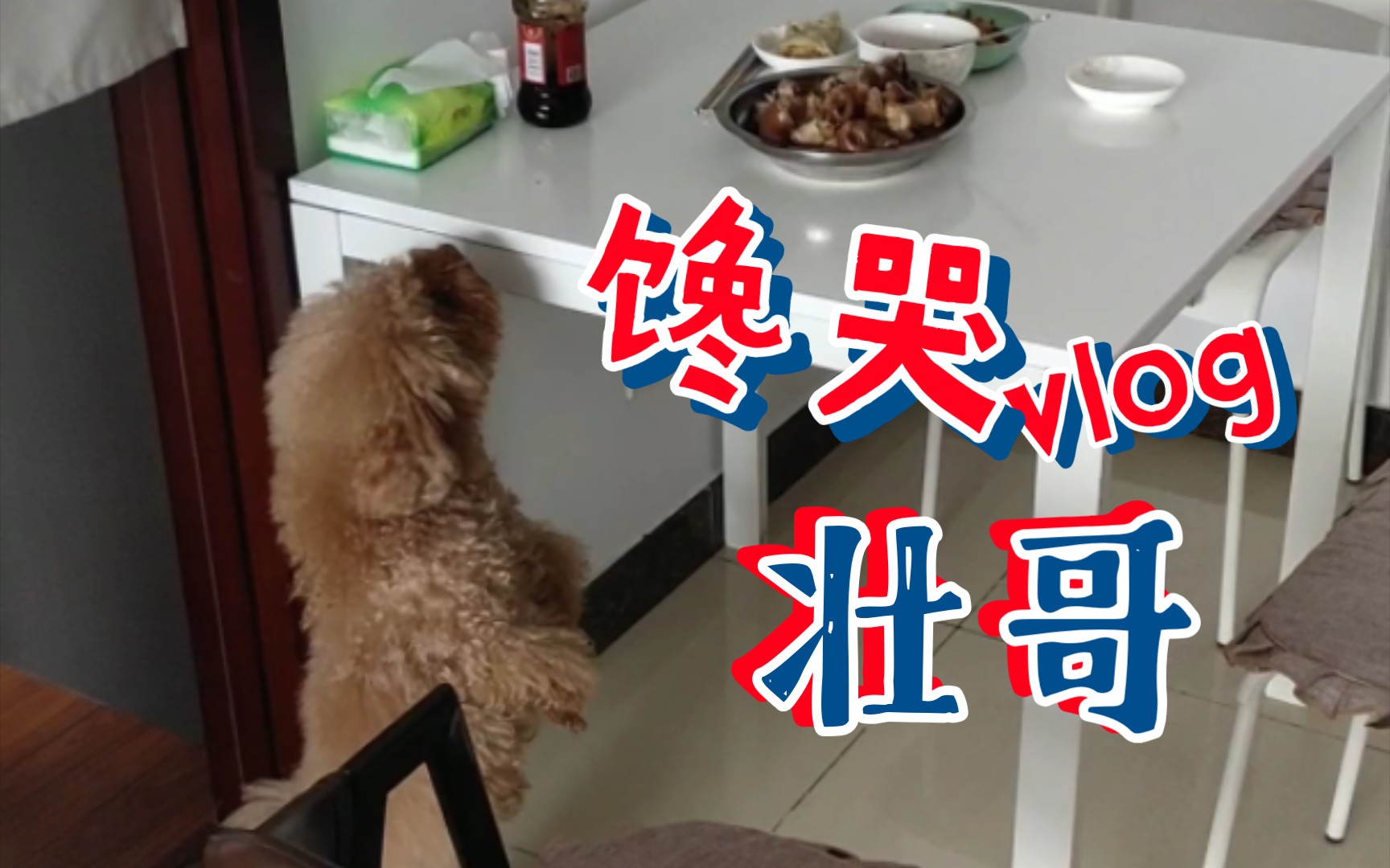 把壮哥馋得都会直立行走的五花肉9098