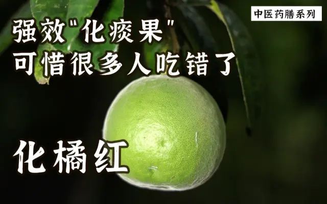 朱鸟寻药记的个人空间 哔哩哔哩 Bilibili