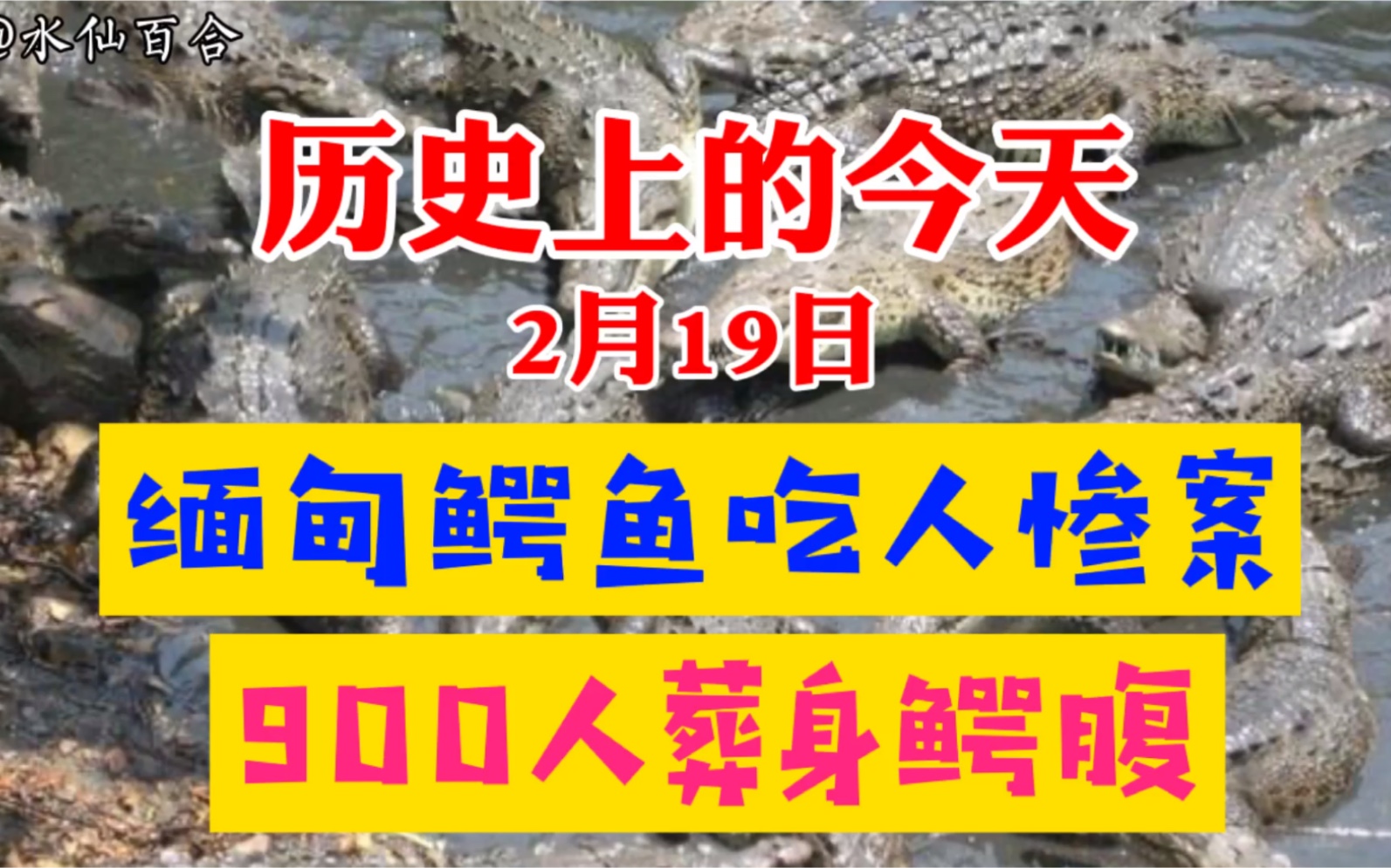 兰里岛之战,缅甸鳄鱼吃人惨案,近千名日军葬身鳄腹,是真的吗?哔哩哔哩bilibili