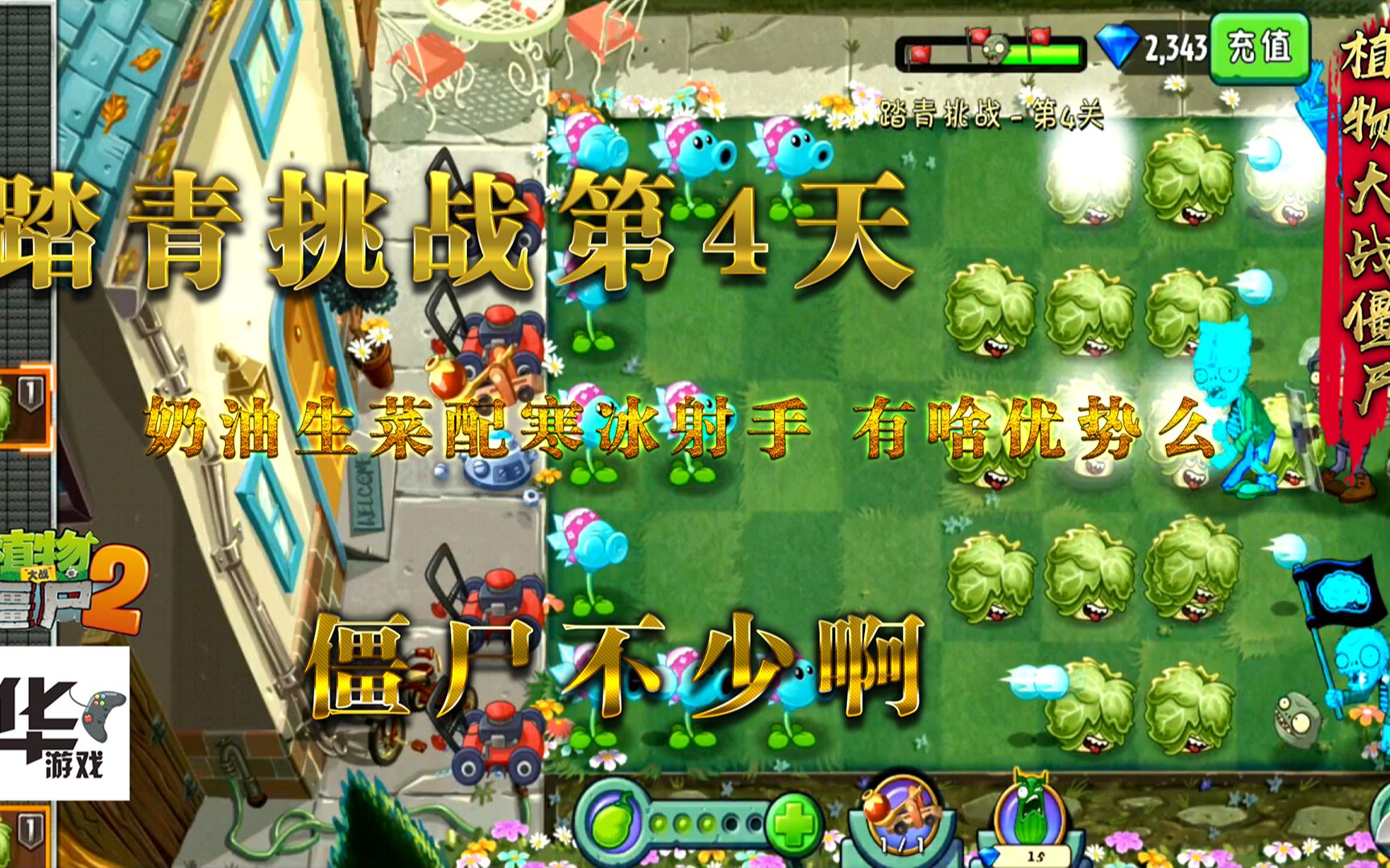 pvz2中文版踏青挑戰奶油生菜第四天配上寒冰射手有啥優勢