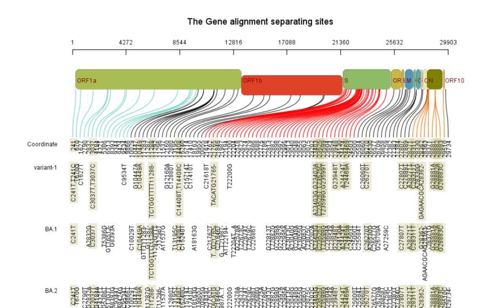 [图]Genomic mutation presenter演示