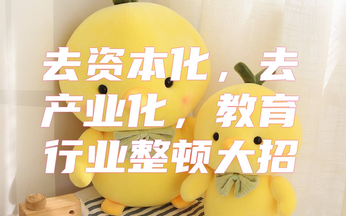 去资本化,去产业化,教育行业整顿大招已出_哔哩哔哩_bilibili