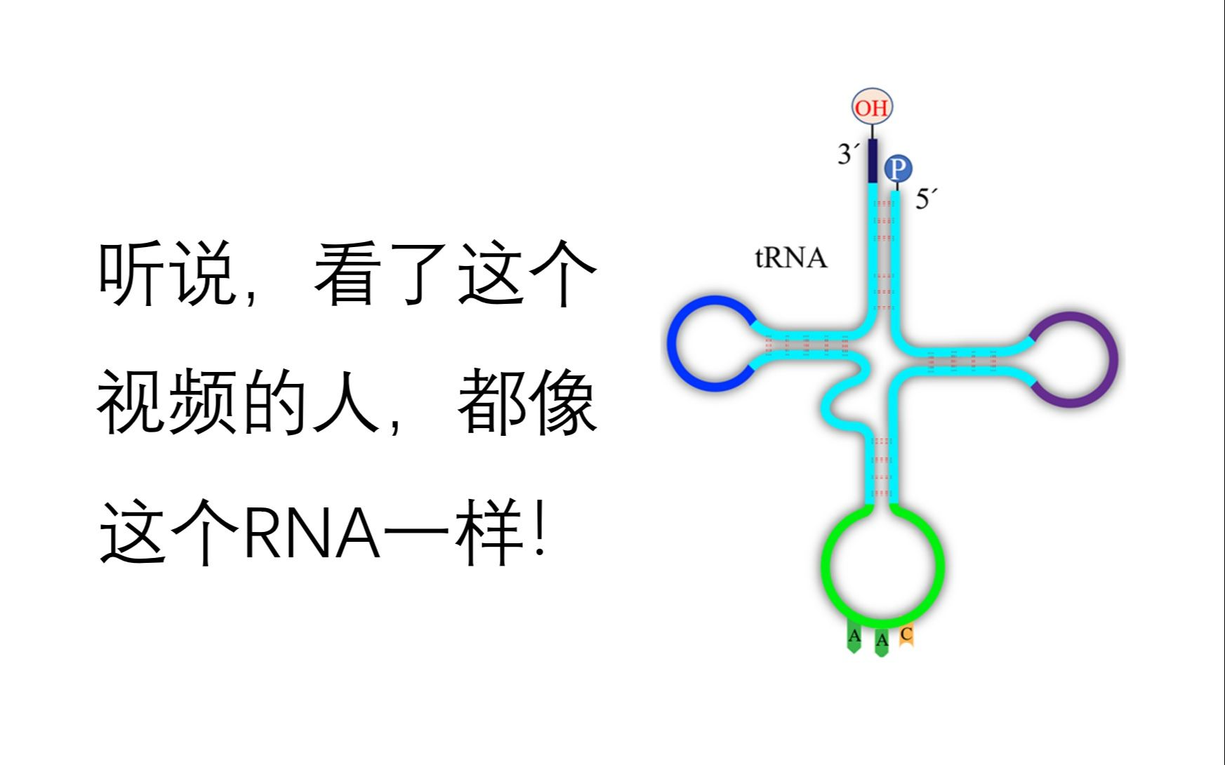 必修2第四章第1节:基因表达 (第1课时)(新教材新授课)哔哩哔哩bilibili