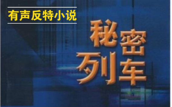 【有声书】《秘密列车》手抄本反特小说哔哩哔哩bilibili