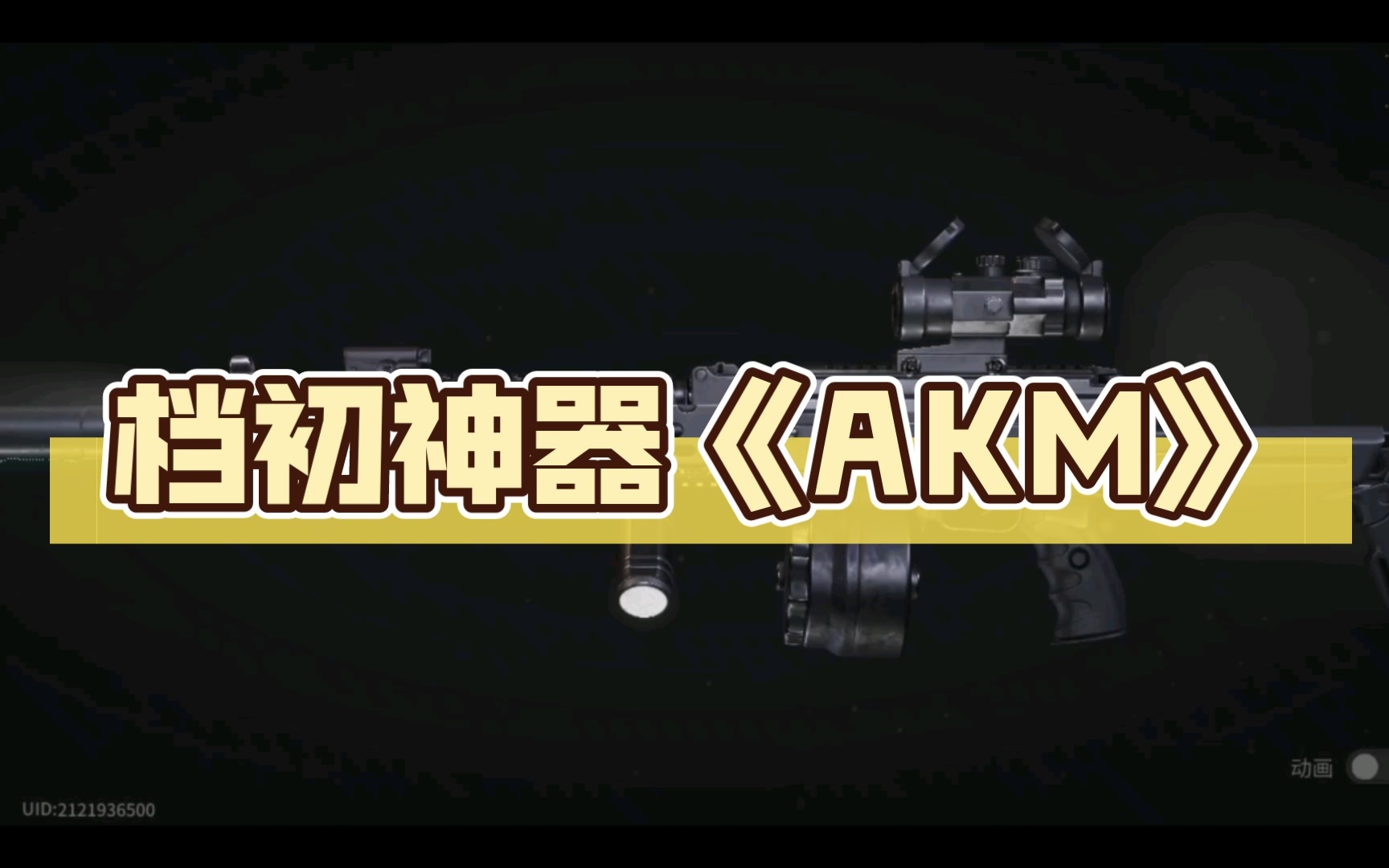 档初神器《AKM》