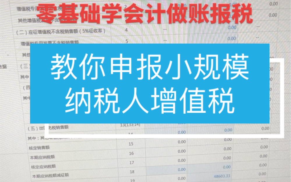 手把手教你申报小规模纳税人增值税哔哩哔哩bilibili