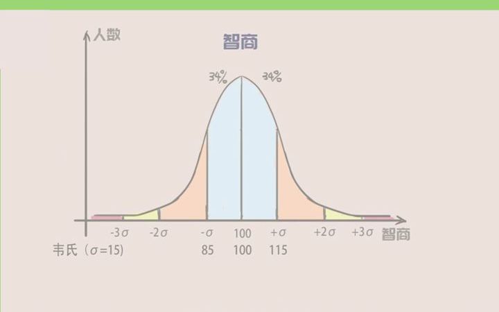 测测你的智商有多高?哔哩哔哩bilibili