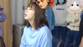 杨紫 女心 花房咖啡厅 录屏杨紫部分 哔哩哔哩 つロ干杯 Bilibili